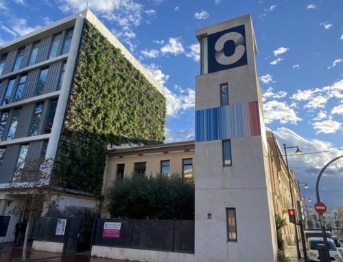 Regeneración de jardines verticales en Valencia